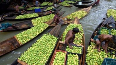 Floating-Guava-Market