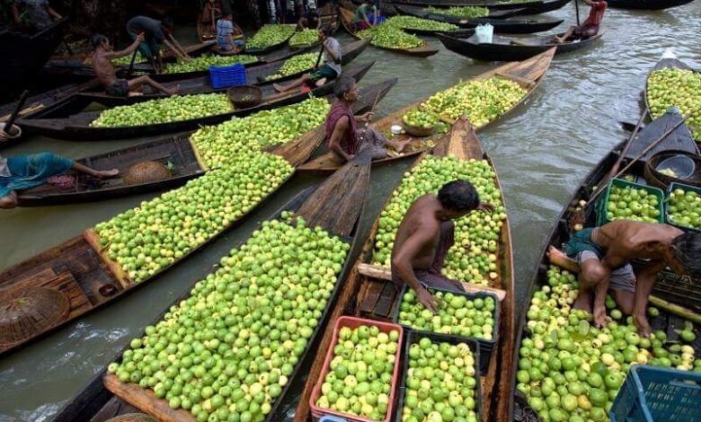 Floating-Guava-Market