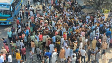 ধানের শিষ