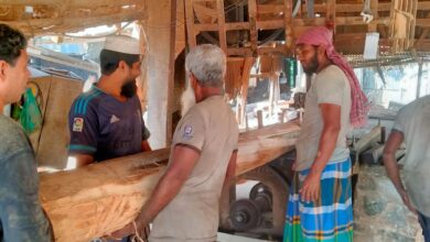 ​কাঠের গুঁড়িতে স্তব্ধ জীবনের সুর