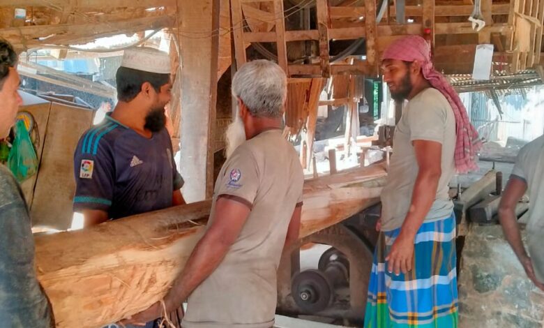 ​কাঠের গুঁড়িতে স্তব্ধ জীবনের সুর